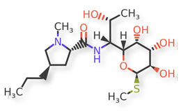 Figure 2b. Lincomycin