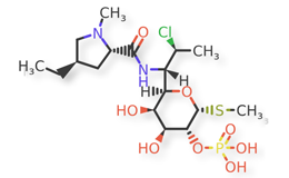 Figure 2c. Clindamycin B phosphate